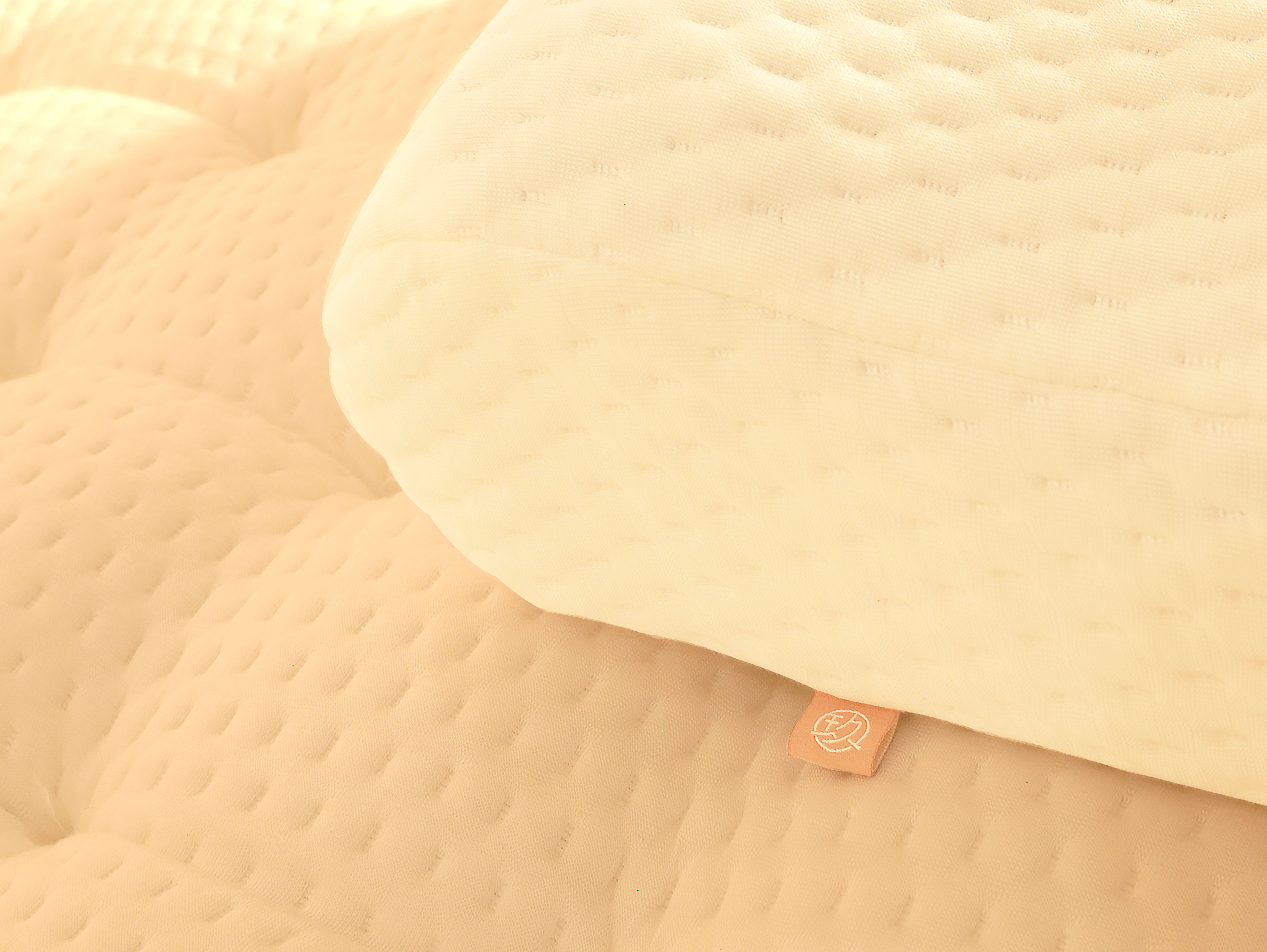 Taiwan TPE pillow 科技果膠枕